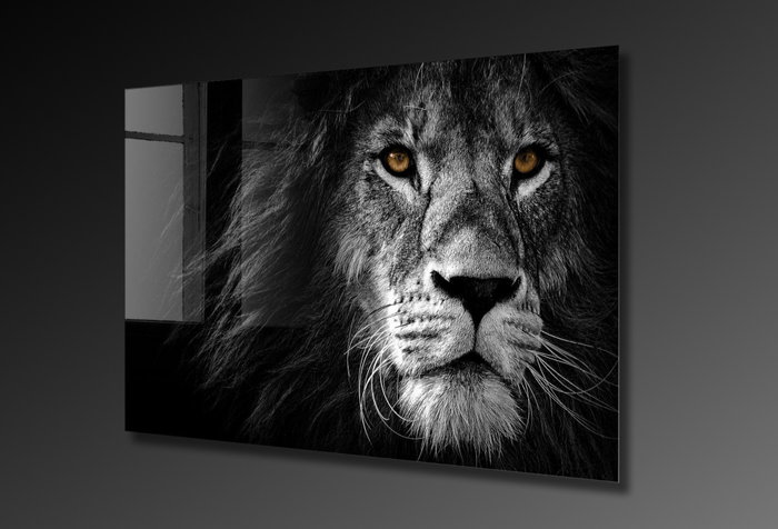 Wallity Cuadro Decorativo de Vidrio Templado Multicolor 70 x 100 cm